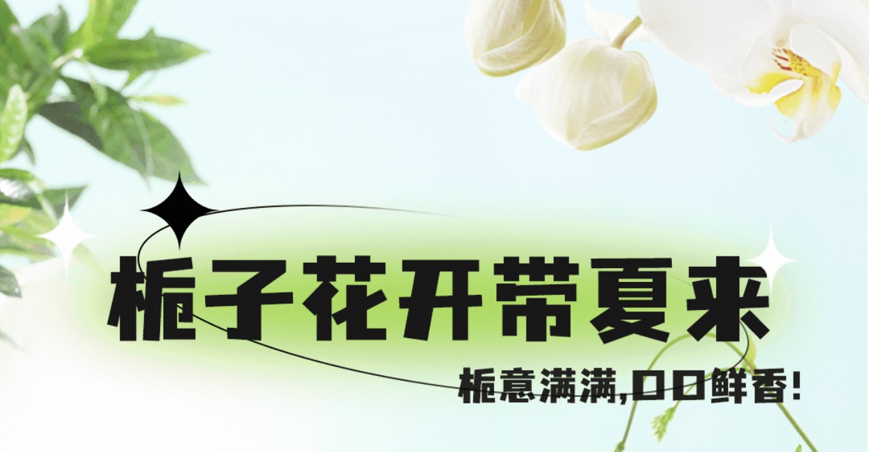梔子花茶7月新上市，梔意滿(mǎn)滿(mǎn)，帶你入夏！